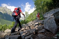 Nordic walking
